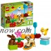 LEGO DUPLO Family Pets 10838   568555804